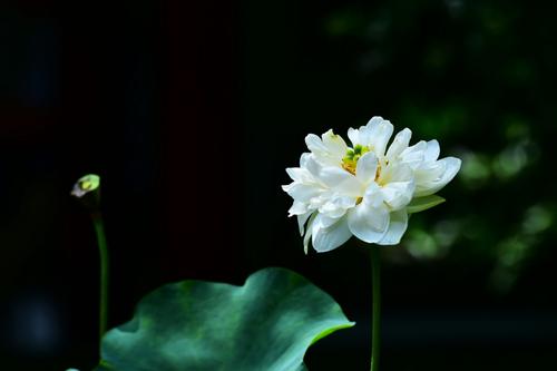 在朋友圈中发送小叔句子