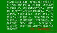 暖心情话短文100字