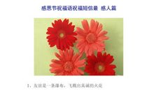 物业对业主的感恩节祝福语