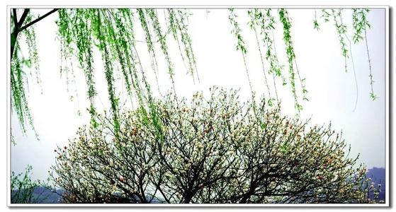 员工晋升致辞诗