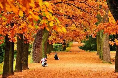 美丽的句子，秋天的夜晚