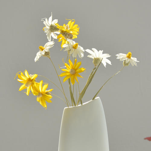 无忧无虑的快乐游戏句子无忧无虑的经典句子2