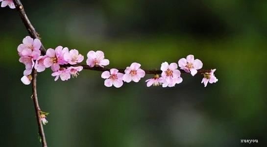 15个使您的女朋友快乐的句子幽默的爱情词使您的女朋友快乐2