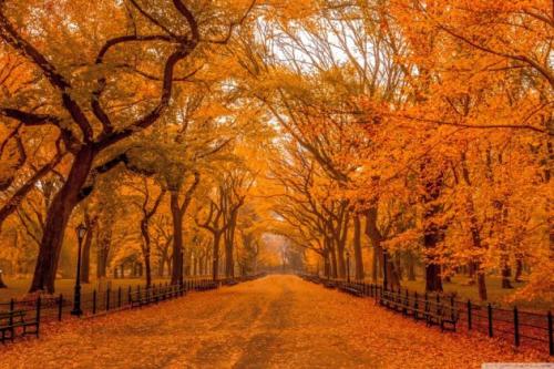 共同工作的句子共同工作的句子1