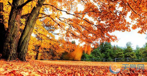 关于快乐合作的句子关于合作同事的句子