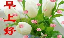 qq动态说说大全2020