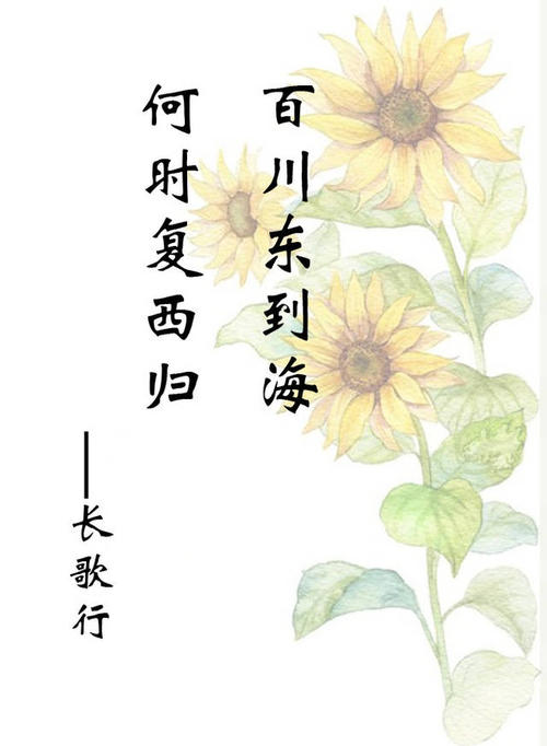 珍惜时光的古诗