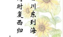 珍惜时间的古诗