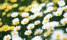 不开心的语句子有哪些 不开心的句子简短