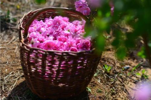 不高兴的句子是什么？简短的不愉快的句子1