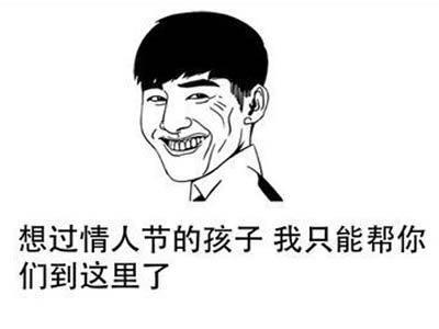 情人节单犬个性签名