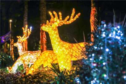 2020年都印网红色旅行讲座