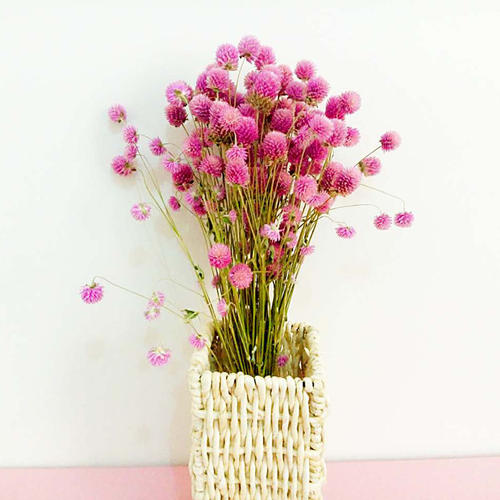 快乐的句子在家里快乐的句子谈1