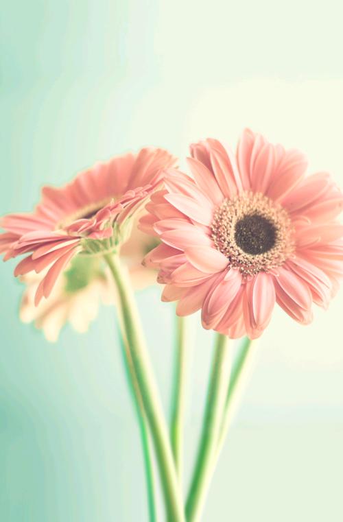 祝你一句快乐的霸气句子霸气的一段为自己2