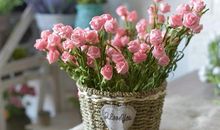 在家过节开心的句子 在家开心的句子说说