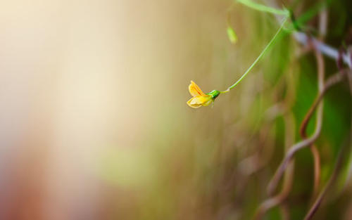 祝你幸福而霸气的一句话为自己的霸气段落1