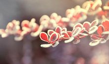 不开心的句子2句 心情压抑不开心的句子