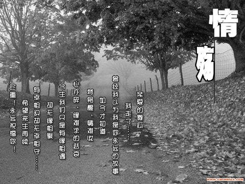 深夜饮酒的句子