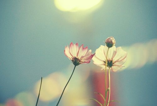 我听到一个笑话很开心