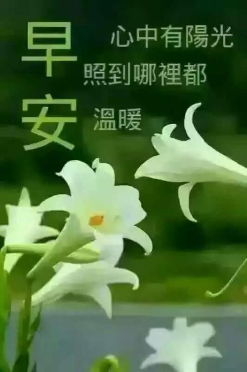早安感言爱