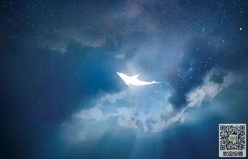 深夜在朋友圈子里的句子