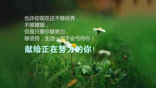 适合在圈子中发贴的朋友谈论灵感