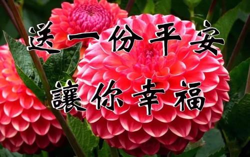 每日幸福祝福