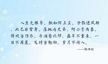 评价酒的优美句子