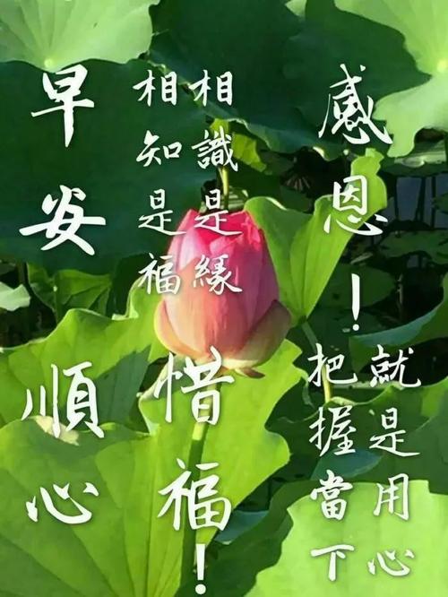 九月祝福祝福文字