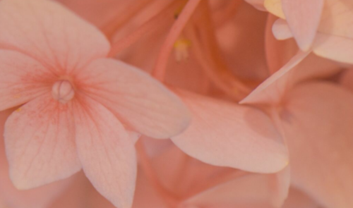 正能量短语，适合在朋友圈子中发布