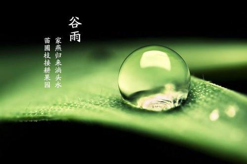 聊聊谷雨微信时刻