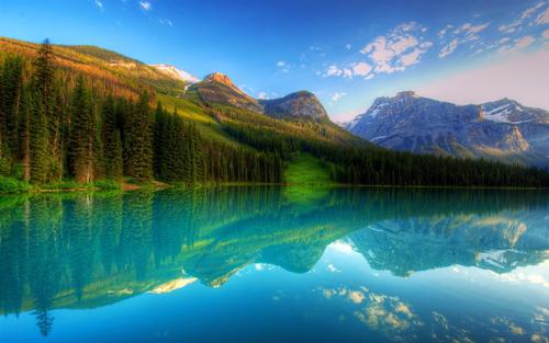 祝你女朋友快乐