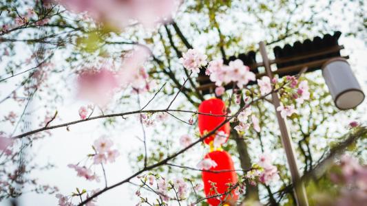 关于幸福古句的幸福和幸福古句