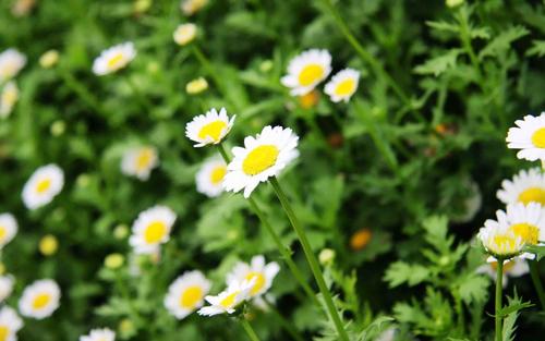 孩子们郊游的快乐句子孩子们郊游的快乐句子