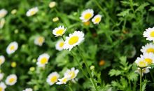 孩子们出去玩的开心句子 孩子游玩开心的句子