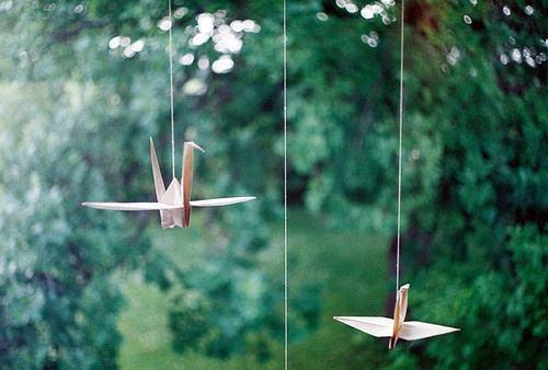 三句精妙的温柔句子,一句尖锐的句子