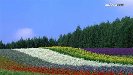 经典的快乐句子，幽默的句子2