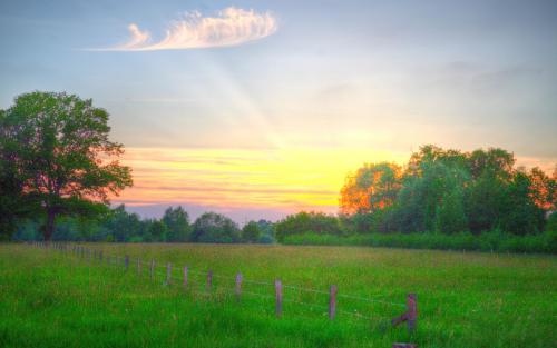 春天快乐的句子来了春天快乐的句子来了2