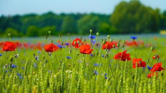 春季快乐句子春季快乐句子1