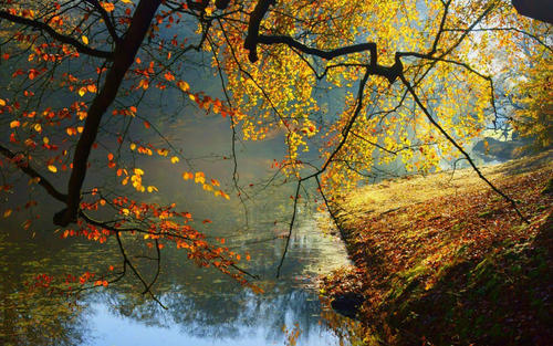 关于夏天玩水的句子,谈论玩水的心情1