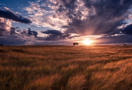 很高兴认识你的女友的句子很高兴认识你的女友的句子