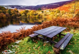 回想过去的快乐句子回想过去的简短句子1