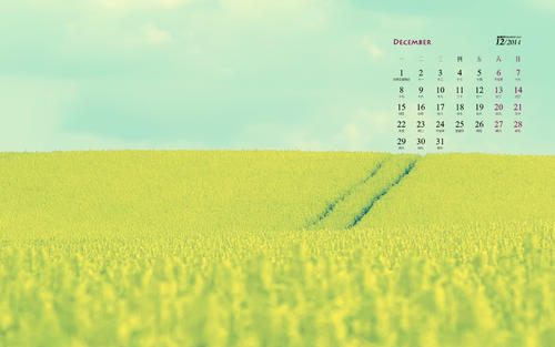 朋友祝你快乐句子祝你快乐句子