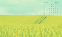 朋友希望你开心的句子 希望你开心的句子