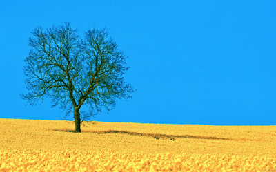 我的朋友们祝你句子快乐