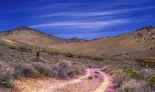 形容放风筝开心的句子 放风筝最优美的一两句话