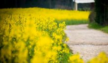 十一月要开心的句子 十一月你好我要开心的过每一天