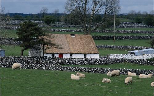 一生要快乐的句子，一生要快乐的句子2