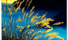 现在的每一天，都是不进则退