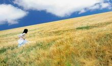 只要努力，命运总会来敲门